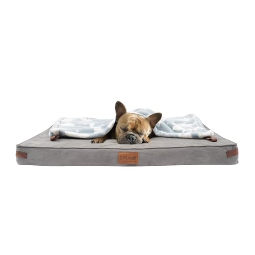 HIMAX Orthopädisches Hundebett für mittelgroße Hunde, Memory-Schaum, mit abnehmbarem, waschbarem Bezug und rutschfester Unterseite, Hundebett mit Decke, Grau von HIMAX