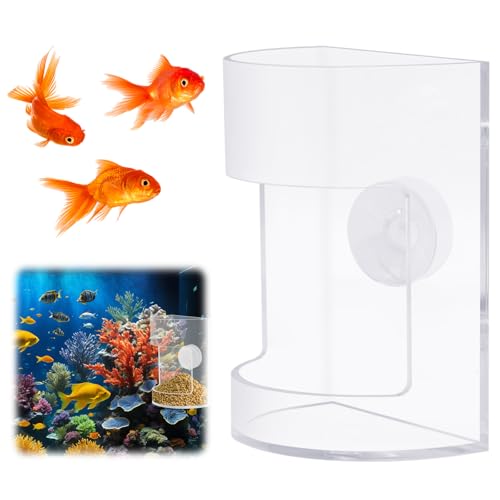 Neue Futterschale für Aquarien mit Saugnapf, Zubehör für Tankteiler, Zubehör für Fütterungsröhren, Brutkasten für Aquarien, Zubehör für runde Aquarien und Fischschalen Neue Futterschale für Aquarien mit Saugnapf, Zubehör für Tankteiler, Zubehör für Fütterungsröhren, Brutkasten für Aquarien, Zubehör für runde Aquarien und Fischschalen von HINGTAI
