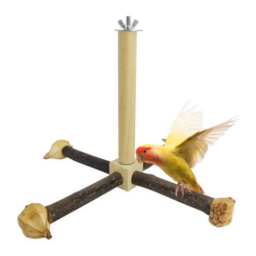 Rotierende Papageienstange, Spielzeug für Vogelkäfig, Vogelstangen aus Naturholz, Spielzeug für Käfige, Zubehör für Nutztiere, flexibel einsetzbar, geeignet für Sittiche, Unzertrennliche Rotierende Papageienstange, Spielzeug für Vogelkäfig, Vogelstangen aus Naturholz, Spielzeug für Käfige, Zubehör für Nutztiere, flexibel einsetzbar, geeignet für Sittiche, Unzertrennliche von HINGTAI