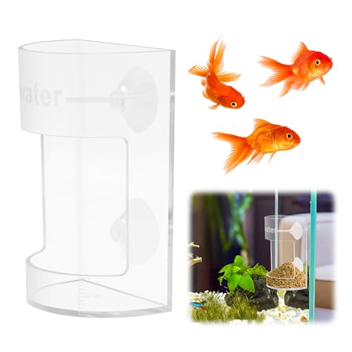 Rundes Futtertablett für Aquarien mit Waage und Saugnapf, Zubehör für Fütterungsschläuche, Zubehör für Tankteiler, Aufzuchtbox für Aquarien, Neue Fischtank Fütterung Tray Rundes Futtertablett für Aquarien mit Waage und Saugnapf, Zubehör für Fütterungsschläuche, Zubehör für Tankteiler, Aufzuchtbox für Aquarien, Neue Fischtank Fütterung Tray von HINGTAI