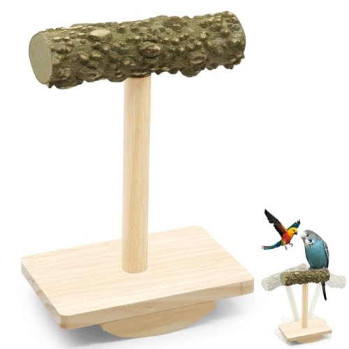 Vogelsitzstangenständer, Spielplatz, Vogelschaukel, Naturholz, Training, Intelligenzbereicherung, Schaukelspielzeug aus Holz, Bogenbasis, Sittiche,Vogel Spielplatz Spiel Vogel Stände Holz Holzfarbe Vogelsitzstangenständer, Spielplatz, Vogelschaukel, Naturholz, Training, Intelligenzbereicherung, Schaukelspielzeug aus Holz, Bogenbasis, Sittiche,Vogel Spielplatz Spiel Vogel Stände Holz Holzfarbe von HINGTAI