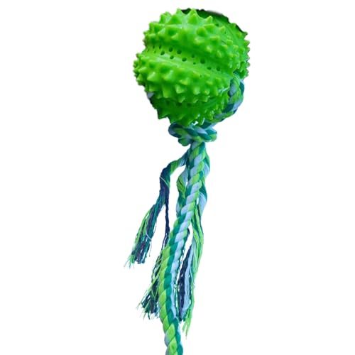HIOPOIUYT Durian Haustier-Kauspielzeug für langsames Füttern und Hygien, Outdoor-Training, Spazierengehen, Kauspielzeug, Gesundheit, Haustier-Kauspielzeug von HIOPOIUYT