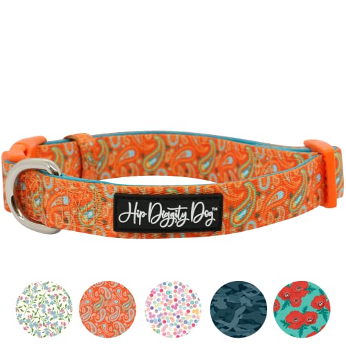 Hip Diggity Dog - Gepolstertes Komfort-Hundehalsband für kleine und große Haustiere - Luxus für Mädchen und Jungen (Paisley, L) von HIP DIGGITY DOG