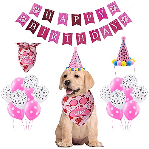 Hund Geburtstag Set - Bandana, Deko, Party, Hut, Banner - Dog Birthday Girl, Happy Birthday (Rosa) von HIQE-FL