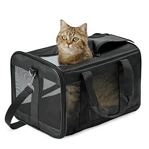 HITSLAM Faltbare Hundebox, Schwarz von HITSLAM