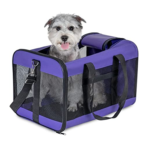 HITSLAM hundebox Faltbar Hundetransportbox Katzentransportbox Katzenbox Transportbox katzentasche für Hund, Katzen, Airline Zugelassen, Reisefreundliche Transporttasche (L) von HITSLAM