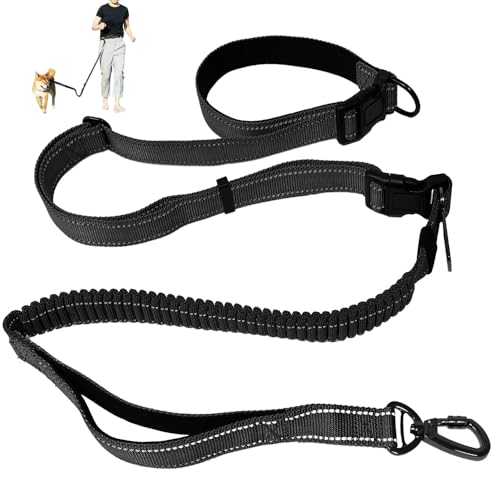 Joggingleine Hunde, Freihändige Hundeleine, Bauchgurt Hundeleine mit Dual Griffe, Stoßdämpfung, Reflektierend, Bungee-Laufleine Hundeleinen für Große Mittelgroße kleine Hunde Joggen Wandern Laufen Joggingleine Hunde, Freihändige Hundeleine, Bauchgurt Hundeleine mit Dual Griffe, Stoßdämpfung, Reflektierend, Bungee-Laufleine Hundeleinen für Große Mittelgroße kleine Hunde Joggen Wandern Laufen von HIULLEN