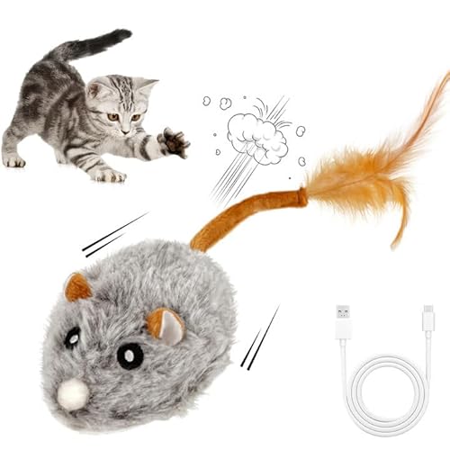 HIULLEN Katzenspielzeug Elektrisch Maus, Katzenspielzeug mit Federschwanz USB Wiederaufladbar Interaktiv für Katzenauslauf gegen Langeweile von HIULLEN
