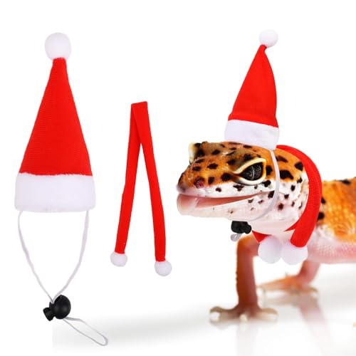 HIXNUG 2Pcs Reptile Lizard Christmas Outfit Santa Hat with Scarf Red Cute Xmas Outfit Christmas Pet Clothing for Xmas Outfit Accessories von HIXNUG