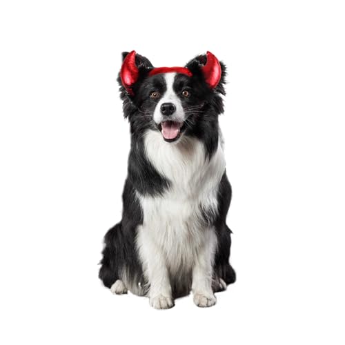 HIXNUG Halloween-Stirnband für Hunde, Teufelshorn, verstellbarer Riemen, Dämonen-Cosplay, für Katzen und kleine Hunde HIXNUG Halloween-Stirnband für Hunde, Teufelshorn, verstellbarer Riemen, Dämonen-Cosplay, für Katzen und kleine Hunde von HIXNUG