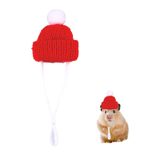 HIXNUG Weihnachtshamstermütze, Weihnachtsmütze für Kleintiere, handgestrickt, dekorative Kopfbedeckung, Outfits für Meerschweinchen, Hamster, Kaninchen, Chinchilla, Eidechse, Igel HIXNUG Weihnachtshamstermütze, Weihnachtsmütze für Kleintiere, handgestrickt, dekorative Kopfbedeckung, Outfits für Meerschweinchen, Hamster, Kaninchen, Chinchilla, Eidechse, Igel von HIXNUG