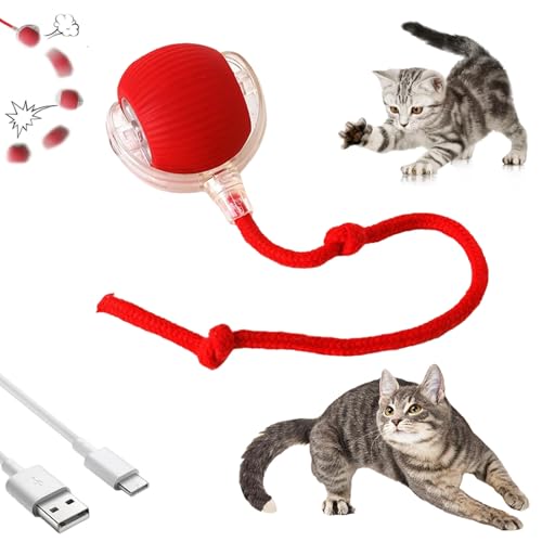 HItianya Automatisch Rollender Ball, Aktiver Rollball mit Schwanz für Hunde, Intelligenter Katzenspielzeugball, 360° Intelligenter Automatischer Rollball mit Schwanz (Rot) von HItianya