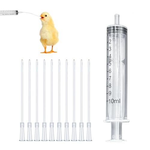 11 Stück Spritze Mit Schlauch Set,Spritzen 10ml,Tauben Zubehör,Jungvögel Füttern,Feeder Futter,Handfütterungswerkzeug für Baby Vögel Und Papageien,Aliment,Milch,Medikamente,Wasser,Einfach Zu Reinigen 11 Stück Spritze Mit Schlauch Set,Spritzen 10ml,Tauben Zubehör,Jungvögel Füttern,Feeder Futter,Handfütterungswerkzeug für Baby Vögel Und Papageien,Aliment,Milch,Medikamente,Wasser,Einfach Zu Reinigen von HJDJBD