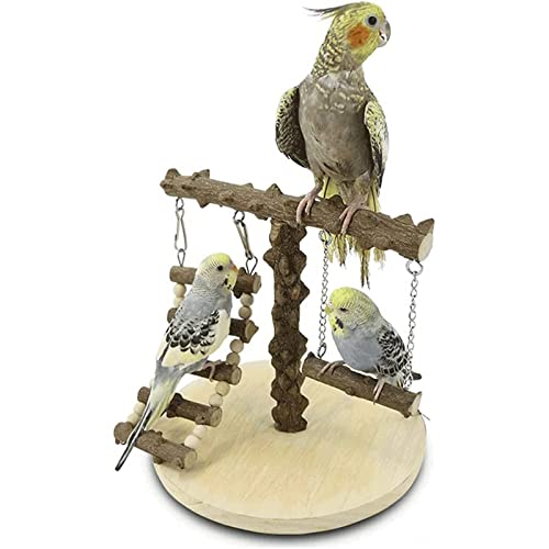 Papageienkäfig Multifunktionaler Vogelspielständer mit Leiterschaukel, Erholungseinrichtungen für Haustiervögel, Vogelkäfig aus Holz für das Übungsspiel Vogelnest von HJDQMDHA