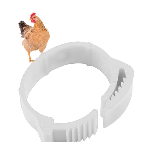 HJHLYJQBF 100pcs Hühnerbein Ring 5 Farben Nummer Hühneridentifikationsbein Band Hühnerschild Bein Hühner -Knöchel Ring Enten Meerschweinchen Türkei White 001-100 von HJHLYJQBF