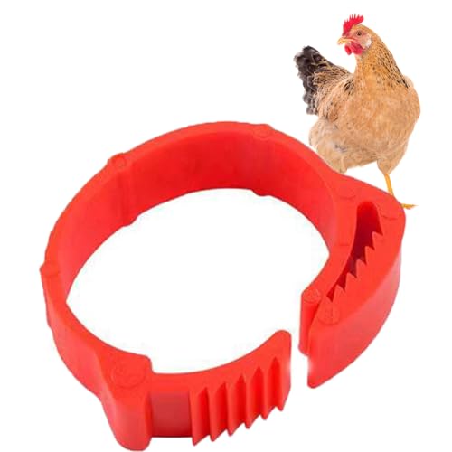 HJHLYJQBF 100pcs Hühnerbein Ring 5 Farben Nummer Hühneridentifikationsbein Band Hühnerschild Bein Hühner -Knöchel Ring Enten Meerschweinchen Türkei rot 001-100 von HJHLYJQBF