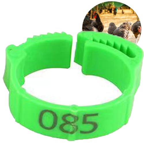 HJHLYJQBF Digitales Kochlet Hühneridentifikationsbeinband Haustier Ring Ring Hühnerbein Ring -Papageien Fuß Ring Taube Fußband Ring Grün 001-100 von HJHLYJQBF