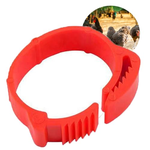 HJHLYJQBF Digitales Kochlet Hühneridentifikationsbeinband Haustier Ring Ring Hühnerbein Ring -Papageien Fuß Ring Taube Fußband Ring rot 001-100 von HJHLYJQBF