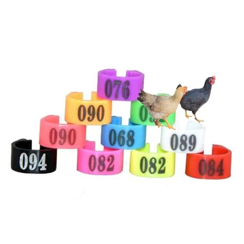 HJHLYJQBF Dove Leg Band Bird Foot Ring gemischte Farben, Taube Beinband Clip-On-Beinband-Geflügel-Tags für Küken Bantam Finch Dove Lovebirds Quail Baby Birds (gemischte Farben 001-1000) von HJHLYJQBF
