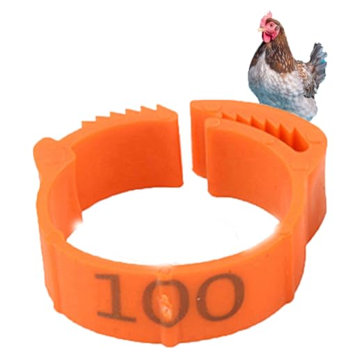 HJHLYJQBF Fleischtaube Fußkettchen -Wachtel -Hühnergürtel Offener Taubenring Bein Ring Huhn Vogel Bein Ring Beingürtel Identifikationsring (100 Stücke) orange 001-100 von HJHLYJQBF