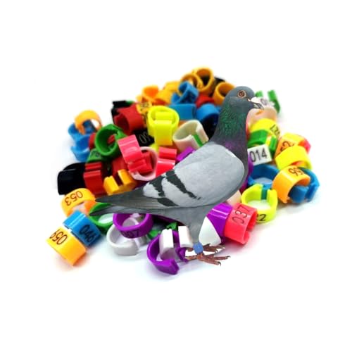 HJHLYJQBF Gemischte Farbpaube-Koch-Hühnchen-Knöchel-Ring-Hühnchen-Identifikationsband (Nr. 001-1000) Mixed Color 001-100 25mm(0.98in) von HJHLYJQBF
