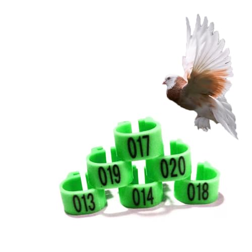 HJHLYJQBF Hühner- und Taubenbeingurte - 10 mm Farbbrennhähnchenbein -Tags, Geflügelbeingurte für Küken, Gänse, Tauben (001-500) Grün 301-400 von HJHLYJQBF