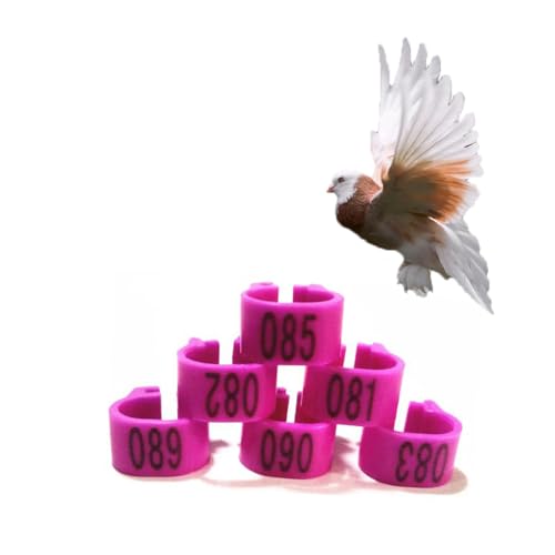 HJHLYJQBF Hühner- und Taubenbeingurte - 10 mm Farbbrennhähnchenbein -Tags, Geflügelbeingurte für Küken, Gänse, Tauben (001-500) Lila 101-200 von HJHLYJQBF