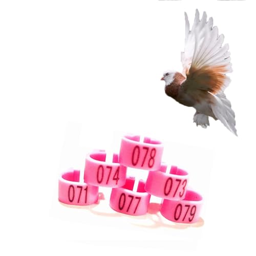 HJHLYJQBF Hühner- und Taubenbeingurte - 10 mm Farbbrennhähnchenbein -Tags, Geflügelbeingurte für Küken, Gänse, Tauben (001-500) Rosa 101-200 von HJHLYJQBF