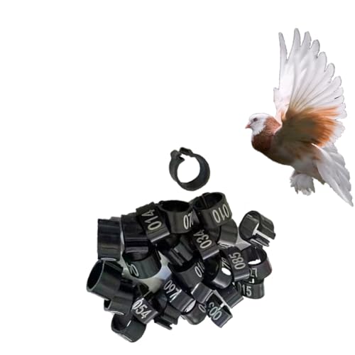 HJHLYJQBF Hühner- und Taubenbeingurte - 10 mm Farbbrennhähnchenbein -Tags, Geflügelbeingurte für Küken, Gänse, Tauben (001-500) Schwarz 001-100 von HJHLYJQBF