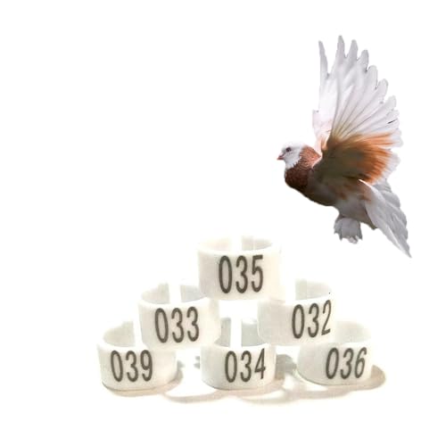 HJHLYJQBF Hühner- und Taubenbeingurte - 10 mm Farbbrennhähnchenbein -Tags, Geflügelbeingurte für Küken, Gänse, Tauben (001-500) White 001-100 von HJHLYJQBF