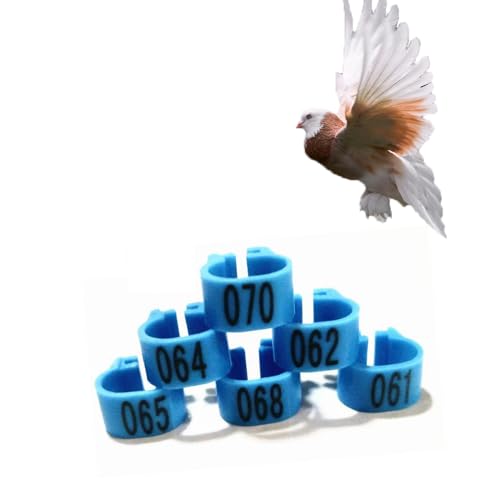 HJHLYJQBF Hühner- und Taubenbeingurte - 10 mm Farbbrennhähnchenbein -Tags, Geflügelbeingurte für Küken, Gänse, Tauben (001-500) blau 101-200 von HJHLYJQBF