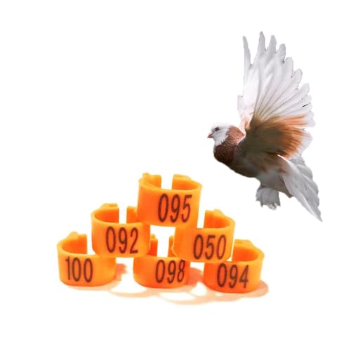 HJHLYJQBF Hühner- und Taubenbeingurte - 10 mm Farbbrennhähnchenbein -Tags, Geflügelbeingurte für Küken, Gänse, Tauben (001-500) orange 101-200 von HJHLYJQBF