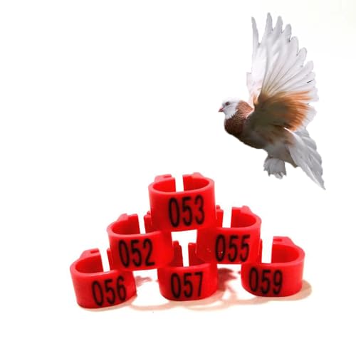HJHLYJQBF Hühner- und Taubenbeingurte - 10 mm Farbbrennhähnchenbein -Tags, Geflügelbeingurte für Küken, Gänse, Tauben (001-500) rot 301-400 von HJHLYJQBF