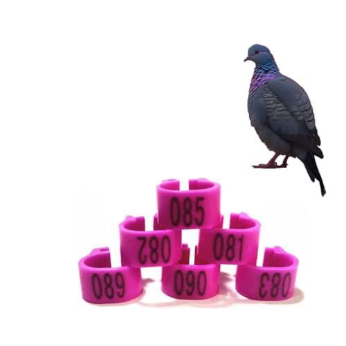 HJHLYJQBF Knöchel Hühnchen-Kalb-Haustier-Versorgung Etikett für Poultry-Tag Ring Taube Fuß Ring Taube Band Rooster Bein Ring Huhn Bein Ring Ring Kämpfe Hahn Plastik （001-500） Lila 401-500 von HJHLYJQBF