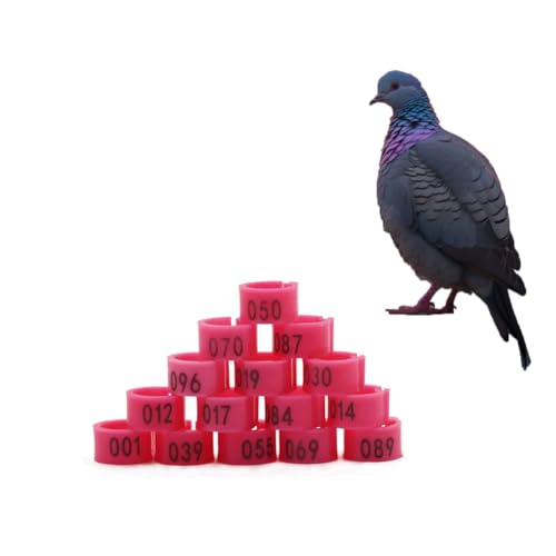 HJHLYJQBF Knöchel Hühnchen-Kalb-Haustier-Versorgung Etikett für Poultry-Tag Ring Taube Fuß Ring Taube Band Rooster Bein Ring Huhn Bein Ring Ring Kämpfe Hahn Plastik （001-500） Rosa 201-300 von HJHLYJQBF