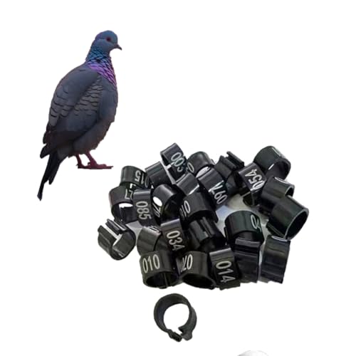 HJHLYJQBF Knöchel Hühnchen-Kalb-Haustier-Versorgung Etikett für Poultry-Tag Ring Taube Fuß Ring Taube Band Rooster Bein Ring Huhn Bein Ring Ring Kämpfe Hahn Plastik （001-500） Schwarz 101-200 von HJHLYJQBF