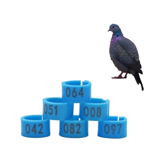 HJHLYJQBF Knöchel Hühnchen-Kalb-Haustier-Versorgung Etikett für Poultry-Tag Ring Taube Fuß Ring Taube Band Rooster Bein Ring Huhn Bein Ring Ring Kämpfe Hahn Plastik （001-500） blau 101-200 von HJHLYJQBF