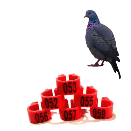 HJHLYJQBF Knöchel Hühnchen-Kalb-Haustier-Versorgung Etikett für Poultry-Tag Ring Taube Fuß Ring Taube Band Rooster Bein Ring Huhn Bein Ring Ring Kämpfe Hahn Plastik （001-500） rot 301-400 von HJHLYJQBF