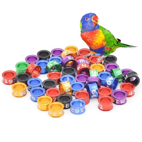 HJHLYJQBF Offen/geschlossener Vogel Ring Taube Knöchel Geflügelversorgung 50/100 Stücke Hühnbeine Tauben Fußgürtel Taube Fuß Stiefring Ring Haustier Beine Kette Aluminium Aluminium von HJHLYJQBF