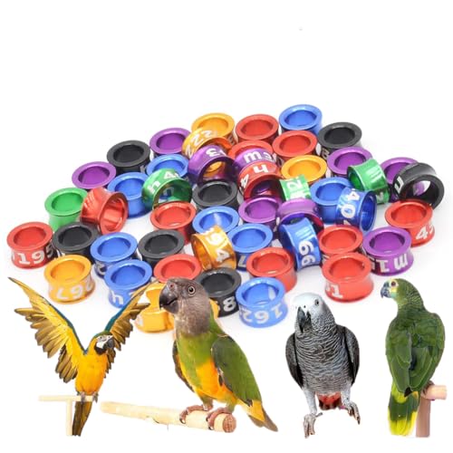 HJHLYJQBF Offen/geschlossener Vogelring -Taubenfußringtaube Geflügelzubehör gemischte Farbe Geschlossener Ring (100 Stück) Mixed Color 3.5mm von HJHLYJQBF