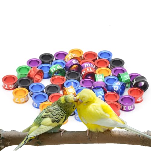 HJHLYJQBF Offener/geschlossener Vogelring, Taubenfuß Ring Bird Beinband Homing Tauben Beinband Vogelfuß Ring Taube Bein Ring Aluminium Geschlossener Ring (100 Stück) Mixed Color 5.0mm von HJHLYJQBF