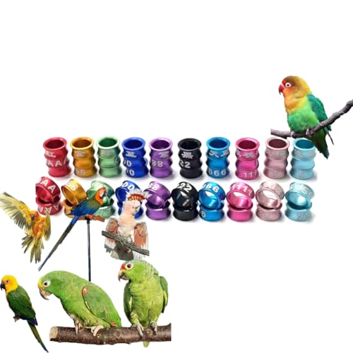HJHLYJQBF Offener/geschlossener Vogelring Multi-Farb-Aluminium gemischt Taubenbein Ring Ring Ring Ringgürtel Taubenfußfußring mit Wortpaarungsring Geschlossener Ring (100 Stück) Mixed Color 4.0mm von HJHLYJQBF