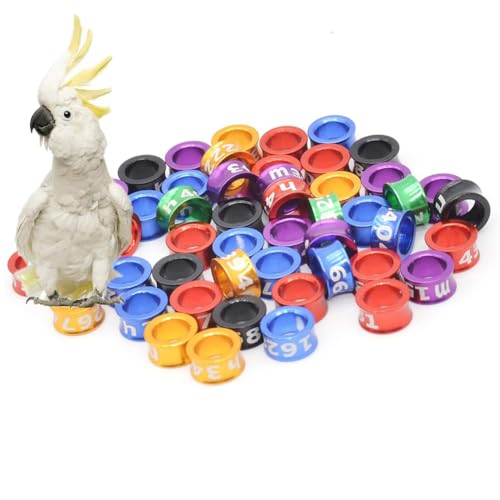 HJHLYJQBF Offener/geschlossener Vogelring Offener Metallvogelring 4mm-8mm Papageienbein Vogelbein für Ringbandmarker gemischte Farbe Zufallszahl Öffnungsring (100 Stück) Mixed Color 4.0mm von HJHLYJQBF