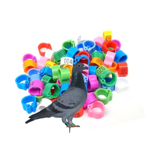 HJHLYJQBF Taube Fußkettchen-Geflügelversorgungen Taubengürtel Huhnbein Gürtel Taube Bein Ring Hähnchen Bein Ring gemischte Farben (Nr. 001-1000) Mixed Color 001-100 16mm(0.63in) von HJHLYJQBF
