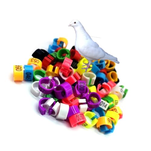 HJHLYJQBF Taube Fußkettchen-Taube Bein Ring Ring Taube Beinband Hühnermark Huhn Knöchel Geflügelband Vogelfuß Ring Plastik (gemischte Farben Nr. 001-1000) Mixed Color 301-400 14mm(0.55in) von HJHLYJQBF
