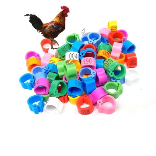 HJHLYJQBF Vogelbein mit Hühnerbein Ring Ring Tauben Fuß Ring Entenbein mit Tauben-Trainingsring Digitales Haustier rotes Taube Plastik (gemischte Farben 001-1000) Mixed Color 701-800 14mm(0.55in) von HJHLYJQBF