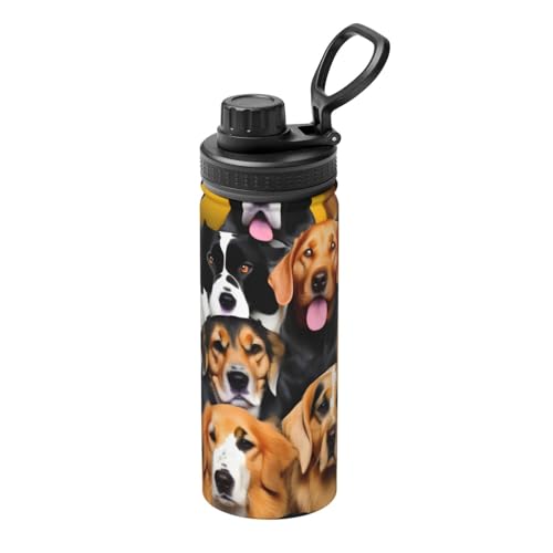 HJLUUFT Isolierte Edelstahl-Wasserflasche für viele Hunde, 530 ml, perfekt für Outdoor-Sport, entworfen für bequeme Einhandbedienung HJLUUFT Isolierte Edelstahl-Wasserflasche für viele Hunde, 530 ml, perfekt für Outdoor-Sport, entworfen für bequeme Einhandbedienung von HJLUUFT