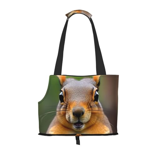 Tragetasche mit Eichhörnchen-Motiv, für kleine Hunde, Katzen und Kaninchen Tragetasche mit Eichhörnchen-Motiv, für kleine Hunde, Katzen und Kaninchen von HJLUUFT