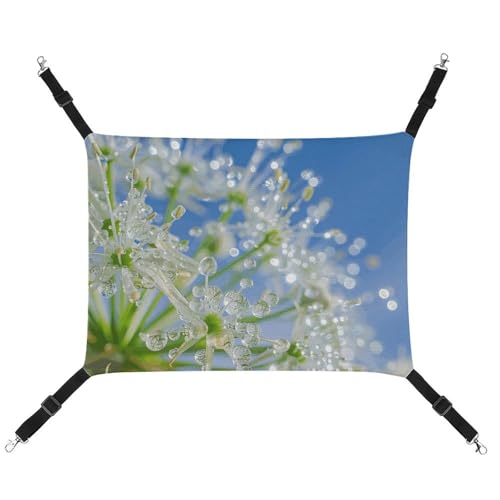 HJUQNGF Katzen-Hängematte, weich, atmungsaktiv, Haustier-Hängematte, mit Metallhaken, Tautropfen auf Blumen, Schlafhängematte, tragbares Katzenkäfigbett für Katzen, kleine Hunde, kleine Tiere von HJUQNGF