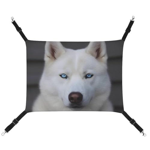 HJUQNGF Katzen-Hängematte, weich, atmungsaktiv, Haustier-Hängematte, mit Metallhaken, blauäugig, weiß, Husky, Schlafhängematte, tragbares Katzenkäfigbett für Katzen, kleine Hunde, kleine Tiere HJUQNGF Katzen-Hängematte, weich, atmungsaktiv, Haustier-Hängematte, mit Metallhaken, blauäugig, weiß, Husky, Schlafhängematte, tragbares Katzenkäfigbett für Katzen, kleine Hunde, kleine Tiere von HJUQNGF